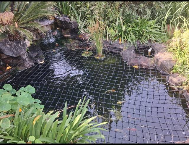 6 BEDROOM HOUSE FOR SALE IN WINCHESTER HILLS